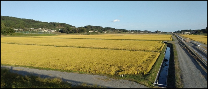 写真:小友地区の田園