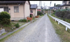 写真:宿舎近くに住んでいる鹿の親子