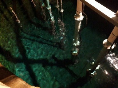 写真:竹駒水源地