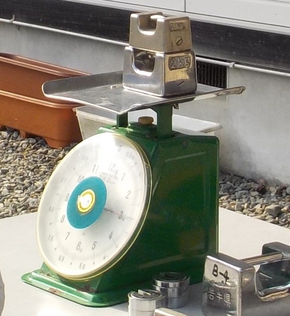 写真:はかりにおもりを乗せて検査する様子2