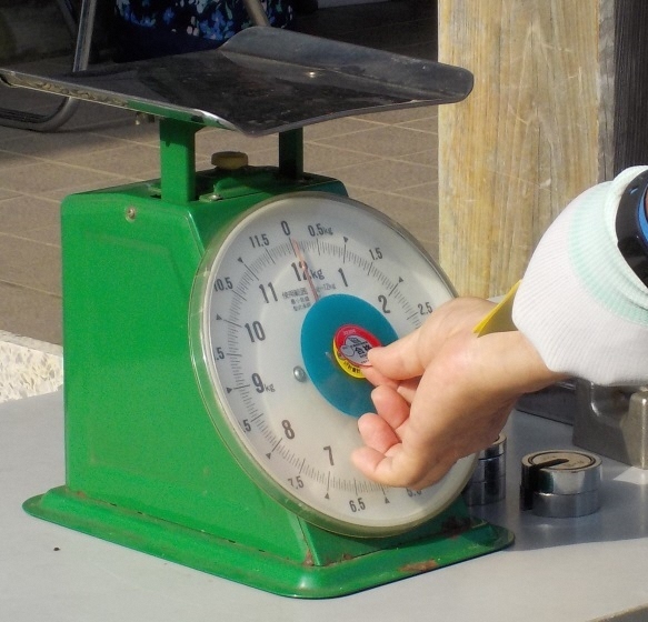 写真:検査の合格シール