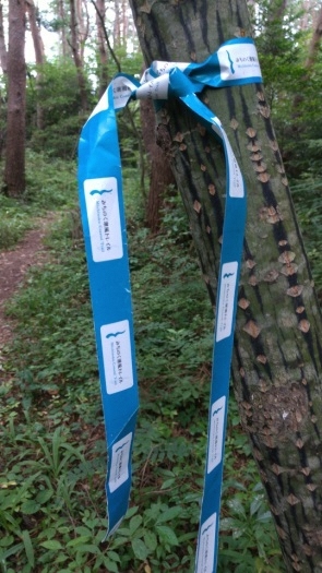 写真:みちのく潮風トレイル標識その3