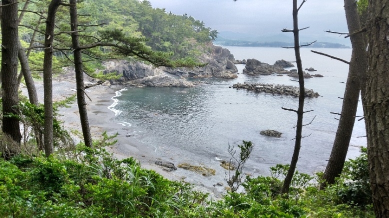 写真:海がすぐそこに見える景色