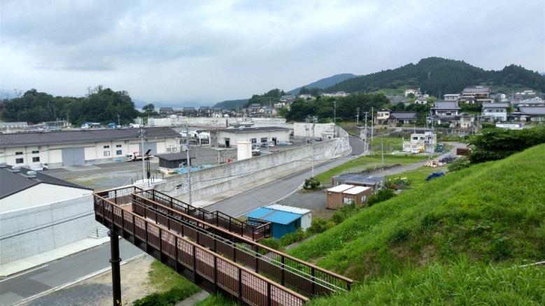 写真:中沢浜貝塚遺跡から