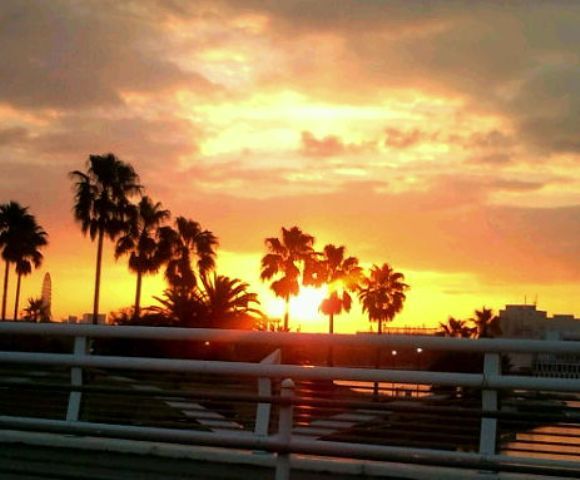 写真:荒子川フェニックスアイランドの日の出