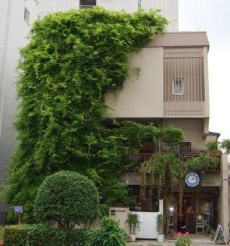 BLUE BLUE NAGOYAの建物の緑化の写真