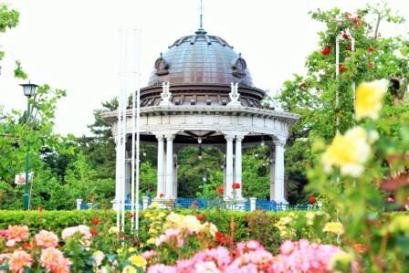 鶴舞公園、奏楽堂とバラの写真
