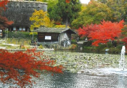 東山動植物園、植物園のもみじ谷の写真