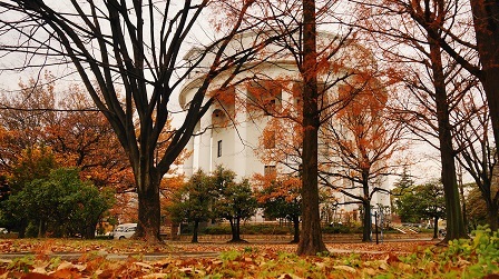 晩秋のアクテノンの写真