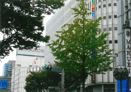 広小路通沿いのデパートの写真