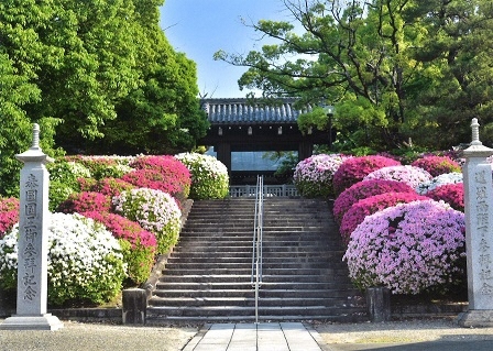 日泰寺奉安塔への階段の写真
