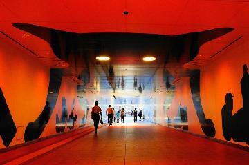 ルーセントアベニューのネコの写真