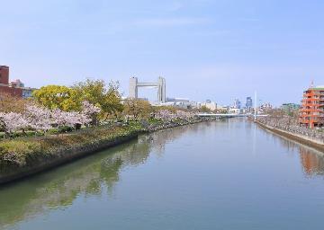 御陵橋から望む春の堀川の写真