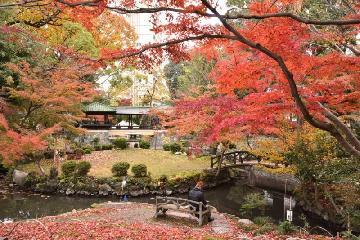 秋の揚輝荘(北園)の写真