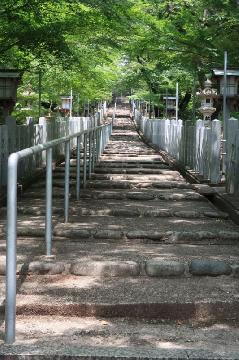 初夏の熊野社の写真