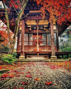 禅隆寺の紅葉の写真