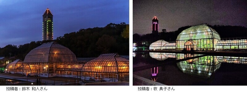 ライトアップされた東山植物園温室前館の2枚の写真(投稿者 左:鈴木 和人さん、右:牧 典子さん)