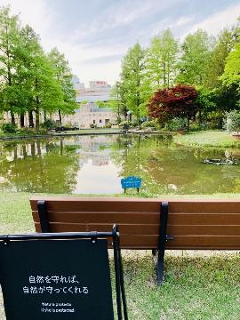 久屋大通庭園フラリエのウォーターガーデンの写真