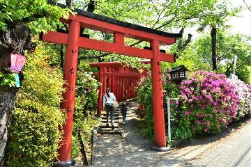千代保稲荷神社名古屋支所の鳥居の写真
