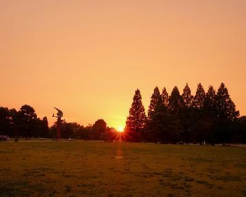 夕景の庄内緑地の写真