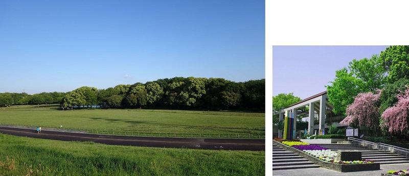 緑豊かな庄内緑地の朝の写真