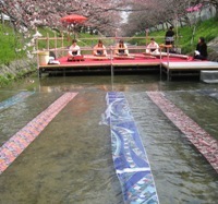 写真:黒川友禅流しでの琴の演奏の様子