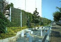 写真:中央卸売市場本場の外構緑化