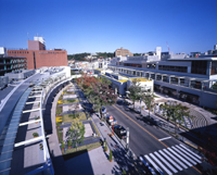 写真:星が丘テラス