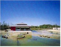 写真:白鳥庭園「汐入の庭」