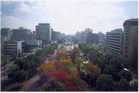 写真:久屋大通地区