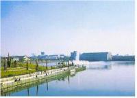 写真:荒子川フェニックスアイランド