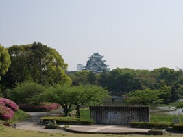 名城公園から天守閣を望む写真