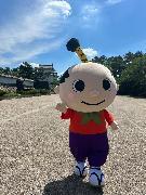 はち丸着ぐるみの写真