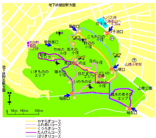 地図：オアシスの森