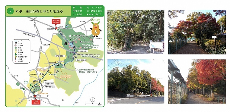 マップとコース内みどころの写真