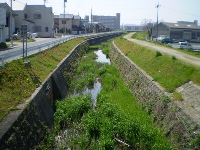 写真:隅除川