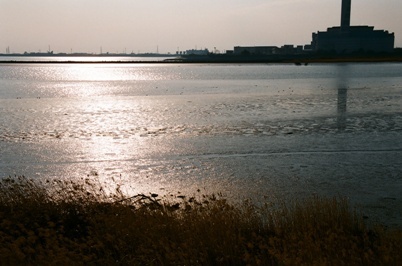 写真:庄内川河口