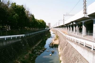 写真:大高川