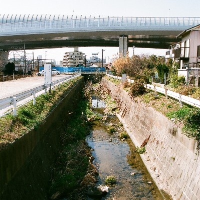 写真:手越川