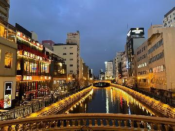 写真:ライトアップの様子