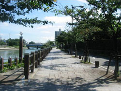 写真:白鳥プロムナード