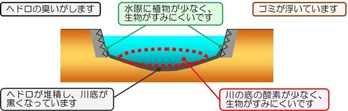 イラスト:堀川と新堀川における自然環境の課題