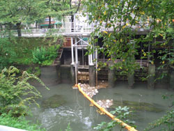 写真:ごみキャッチャー