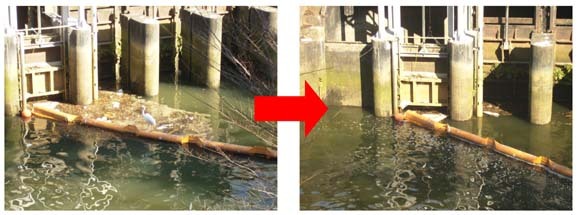 写真:ゴミ回収状況