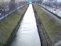 写真:植生(ヨシ)の刈取り後の状況