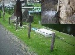 写真:朝日橋上流における浅層地下水の利用