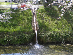 写真:木津根橋における浅層地下水の利用