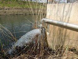 写真:中土戸橋上流における浅層地下水の利用