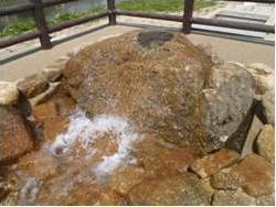 写真:瀬古橋上流における浅層地下水の利用