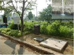 写真:志賀橋上流における浅層地下水の利用